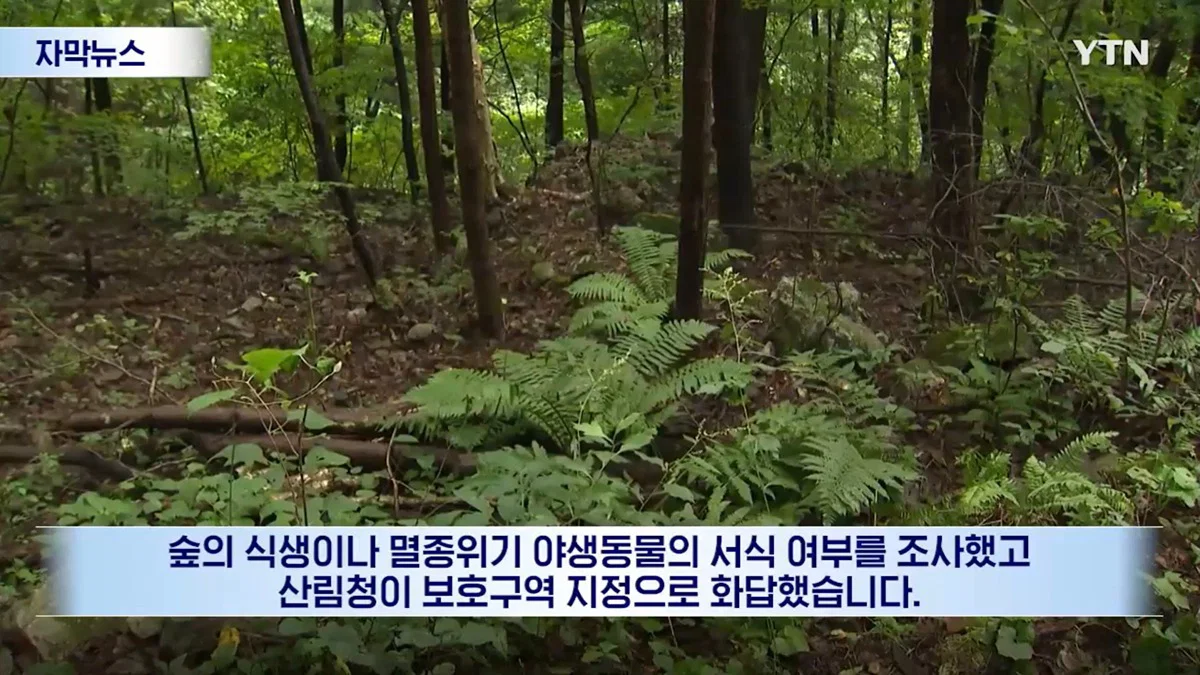 수십억 들여 숲 사놓고 아무것도 안한 이유 (15)