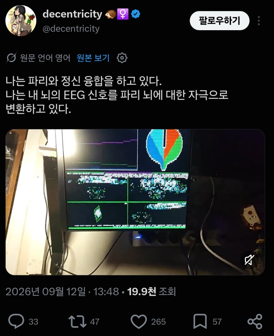 초파리 근황 (5)