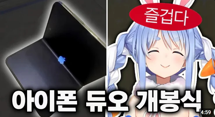 ㅆㄷ 버튜버) 현명한 선택이 돼버린 버튜버 (29)