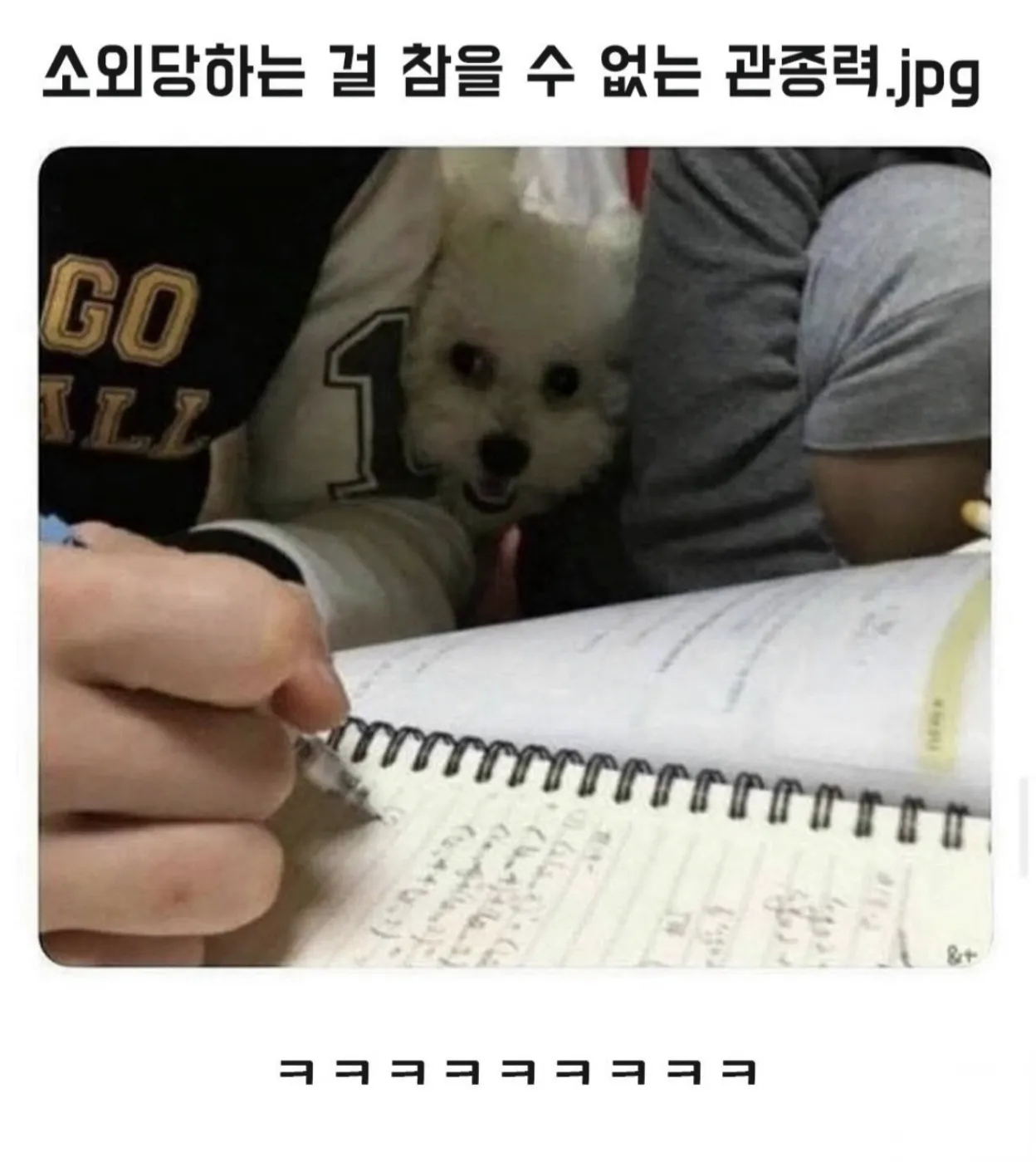 소외당하는걸 참을수없는 관종력