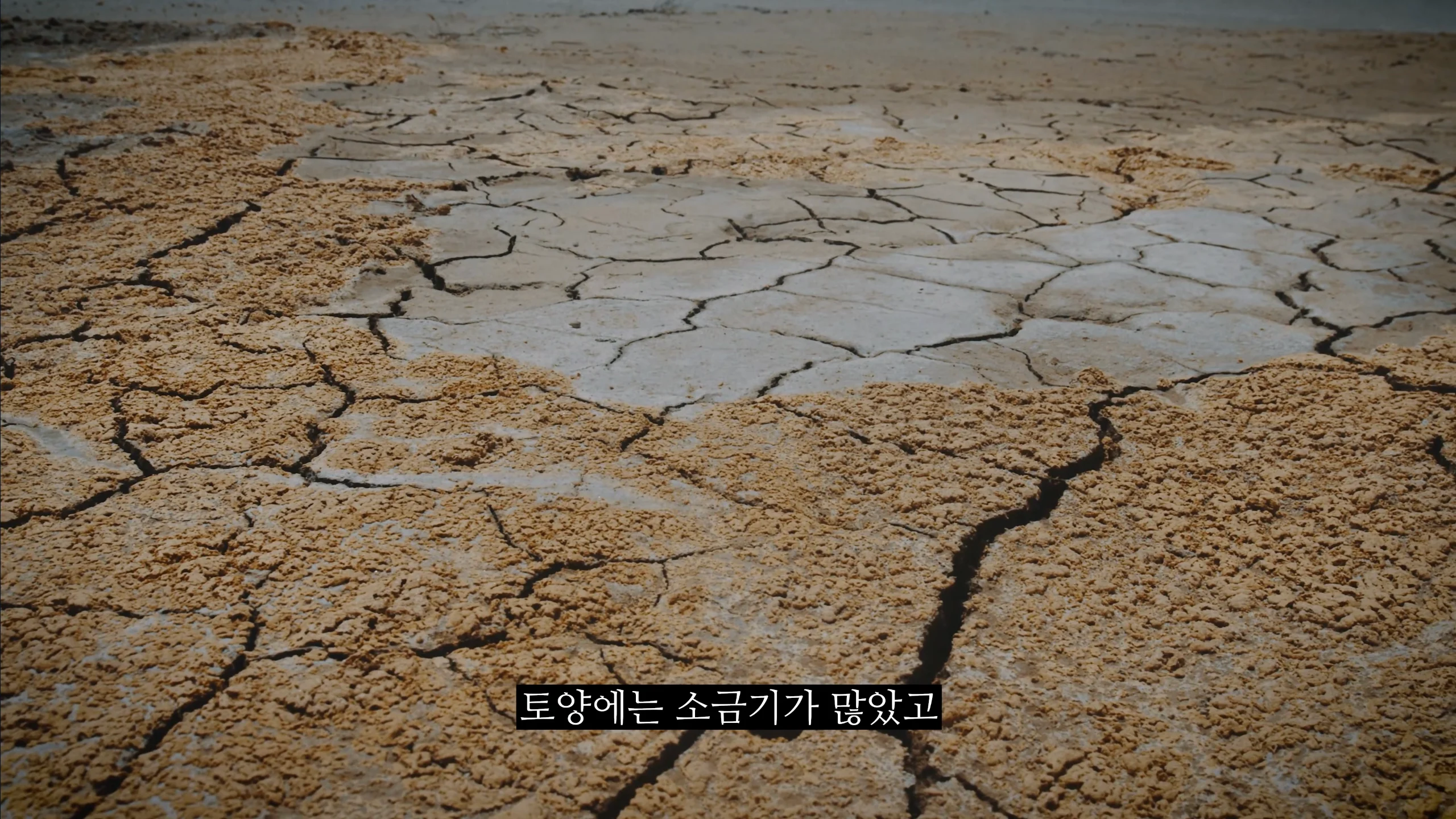 의외로 전쟁나고 패배시 최후의 도피처로 가능한땅 (11)