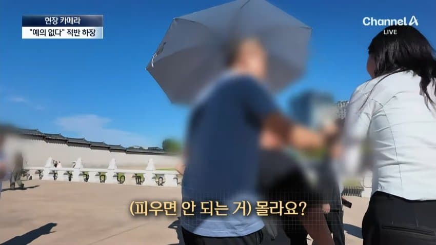 경복궁서 버젓이..담뱃불 붙이는 관광객 (14)