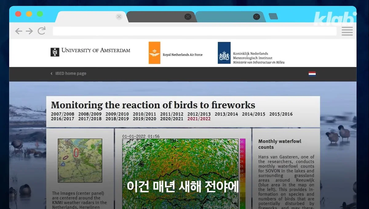 새들에겐 거의 전쟁난 수준이라는 불꽃축제 (22)