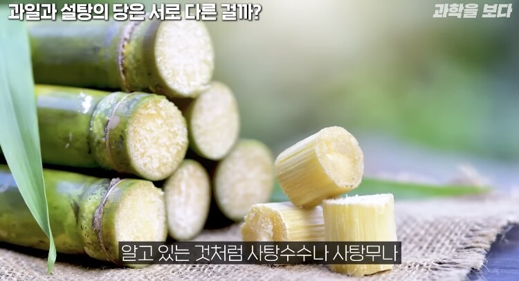 탄산음료 액상과당이 몸에 안좋은이유 (4)