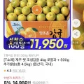 대정농협 한라봉 4kg 로얄과