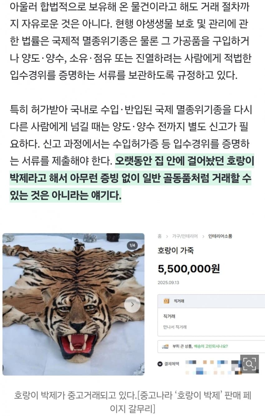 “여기가 한국 맞아?” 진짜 호랑이 ‘700만원’에 대놓고 거래 (9)
