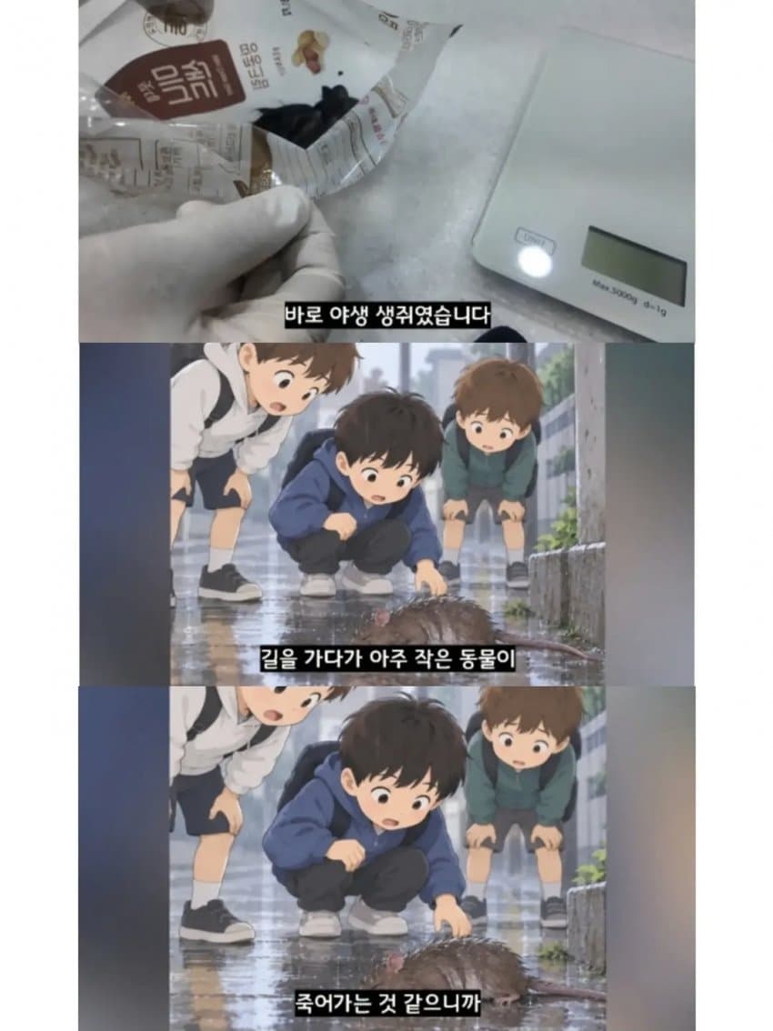 싱글벙글 2만원을 모아 동물병원 방문한 초등학생들 (9)