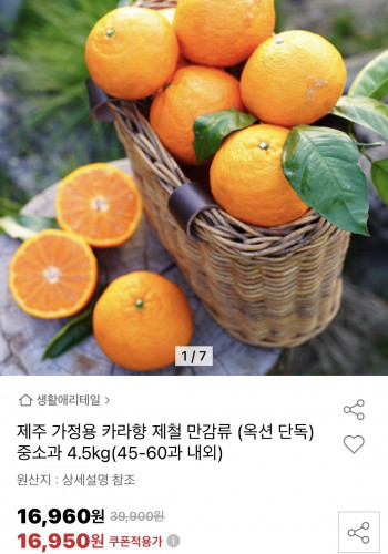 [옥션] 제주 카라향 중소과 4.5kg(45-60과 내외)