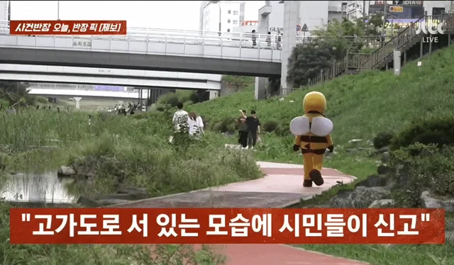 사건반장에 나온 꿀벌 복장 입는 이유 (19)