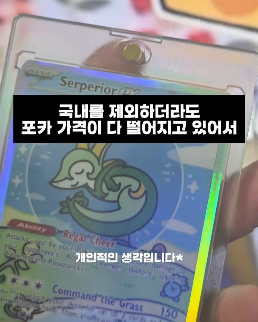 되팔이들 전부 치이카와로 갔다는거 구란줄알았는데 (5)