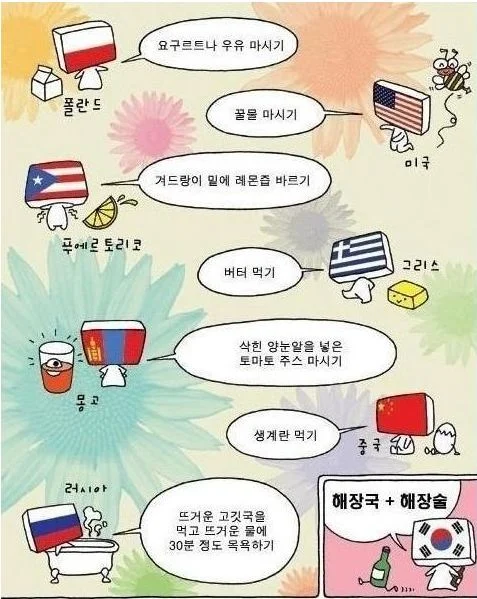 재미로 보는 국가별 해장 방법
