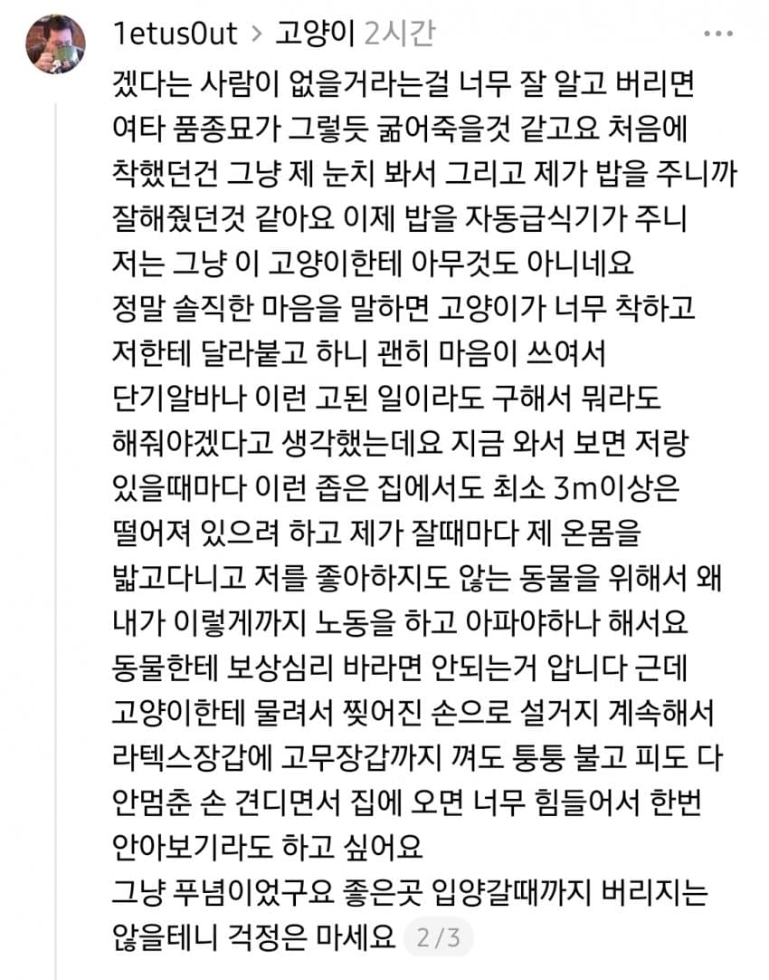 길고양이 주우면 안되는 이유 (2)
