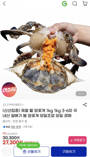[지마켓] 제철 활 암꽃게 1kg 1kg 3-6미 국내산 알배기 봄 암꽃게
