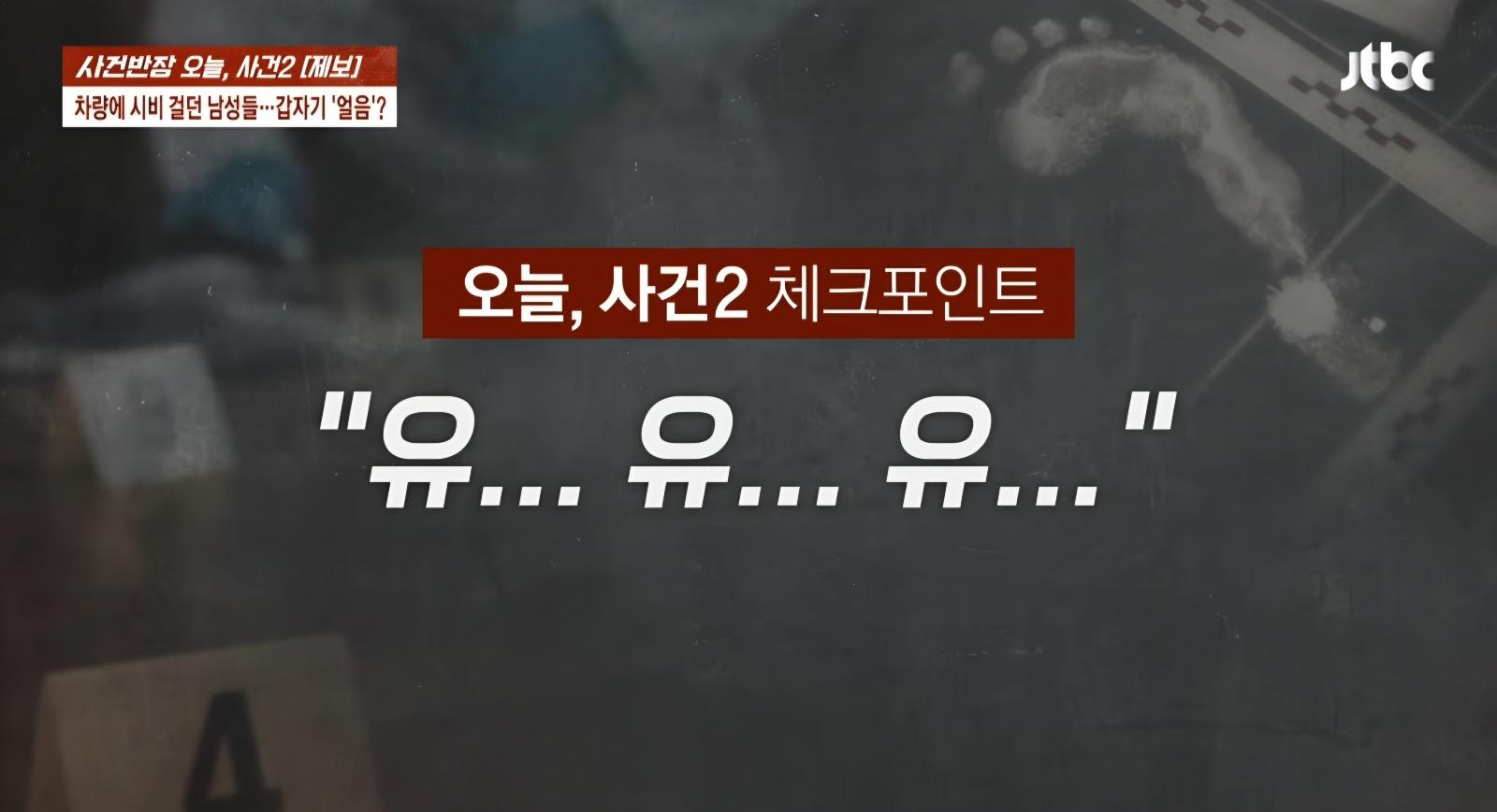 쌩 양이 강자를 만났을때 (8)
