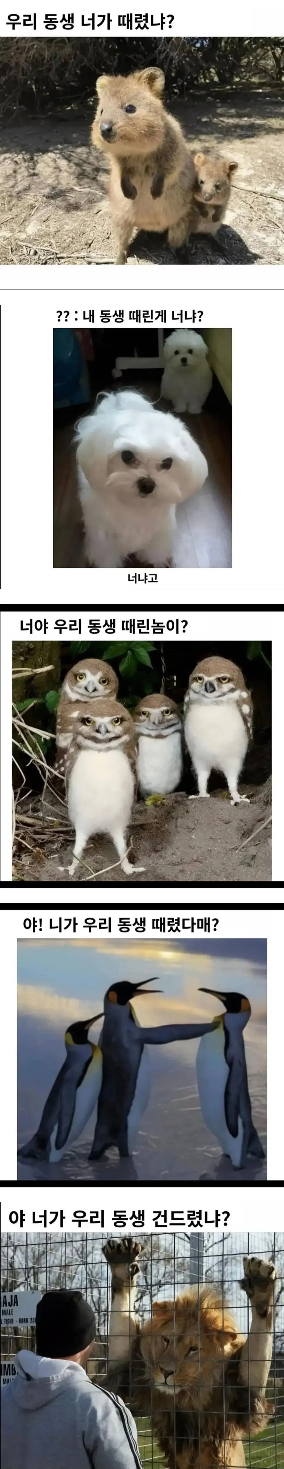 우리 동생 때린게 너냐?