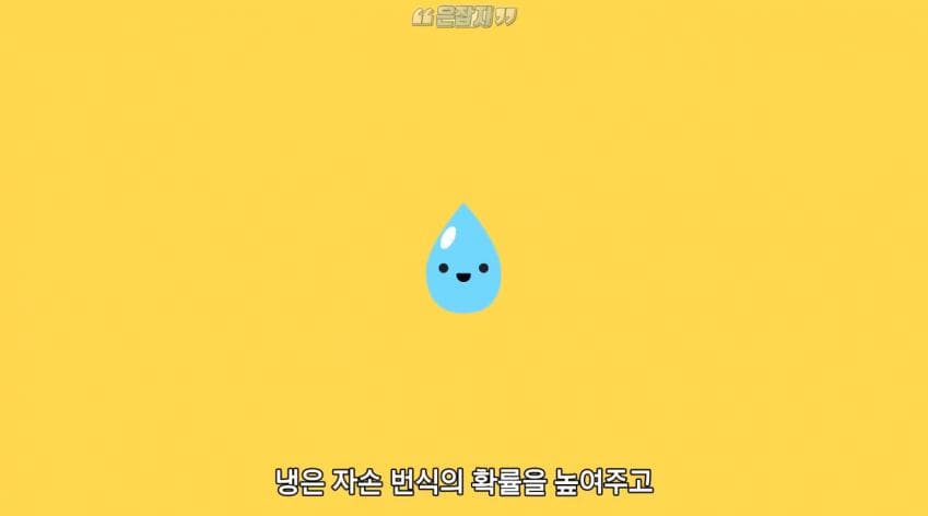 남자들은 잘 모르는 냉 이라는 것에 대하여 (38)