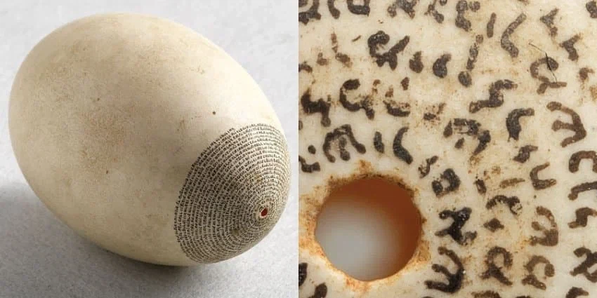 "아 시발 못해먹겠다".egg