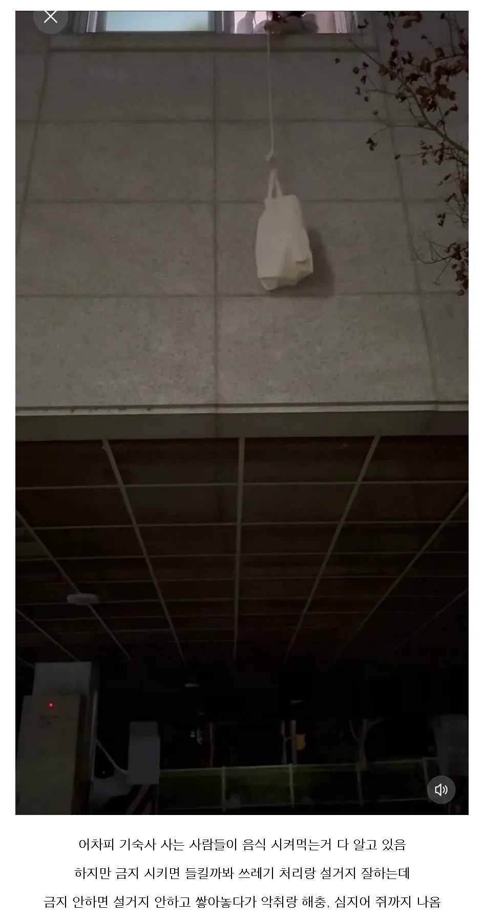 기숙사들에서 음식 먹는걸 금지하는 이유