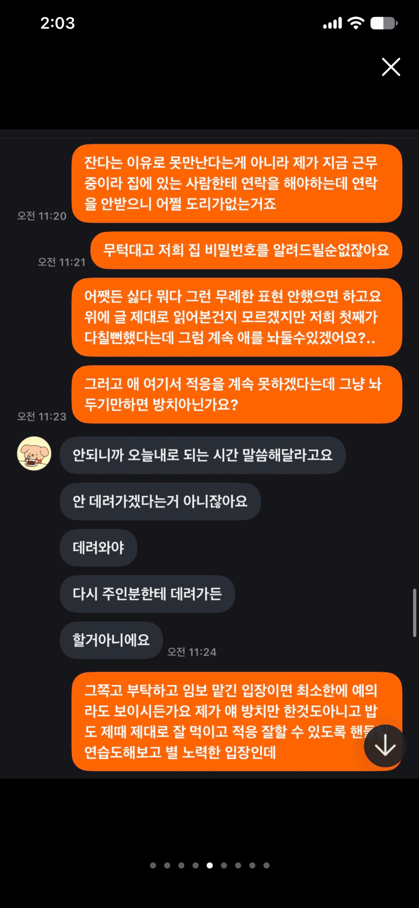 캣어머니한테 임보냥이 설계당한 당근 착한아줌마. (8)