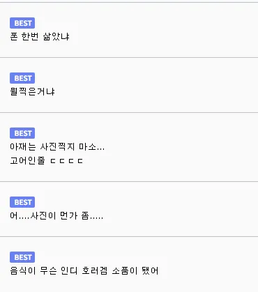 루리웹에 등장한 음식 사진 못찍는 사람