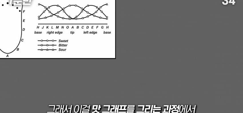 학교에서 배운 '혀 맛' 지도가 잘못됐다..? (18)