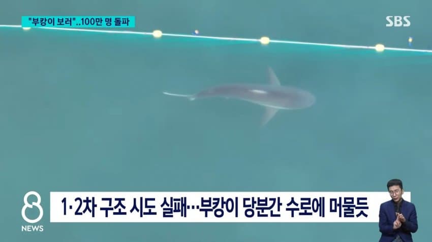 부캉이 보러... 결국 누적 100만명 돌파 (7)