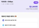핀다이렉트sk 100GB+5Mbps 4개월