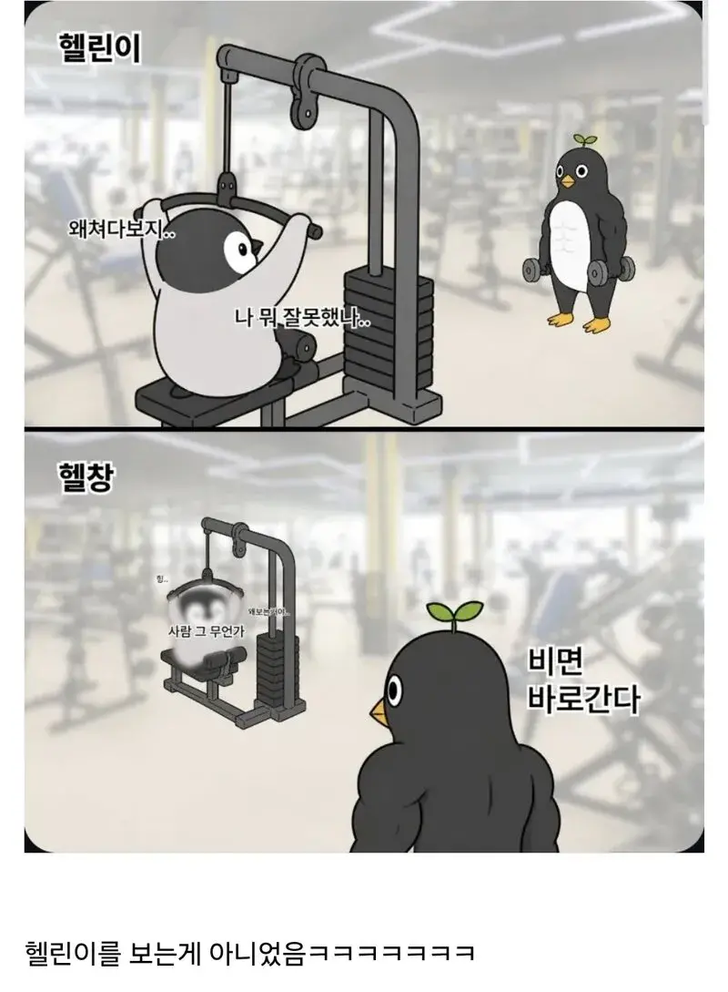 헬창이 쳐다보는 이유