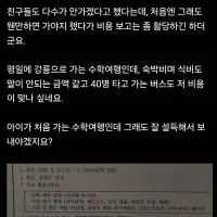 중학교 3학년 자식이 수학여행 비용이 말도 안된다며 안간다고 하네요