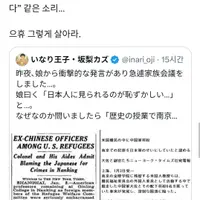 난징대학살 배워온 딸 때문에 곤란하다는 일본 아빠