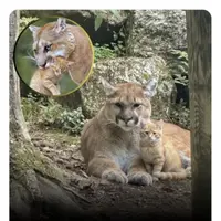 새끼가 왜 안 자라는지 걱정 되는 어미