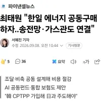 최태원 "한일 에너지 공동구매하자..송전망·가스관도 연결"