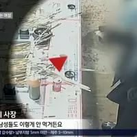 매일 어묵 15개를 먹는 여성