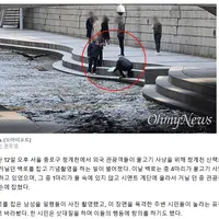 [단독영상] 청계천 백로 붙잡고 사진 찍는 외국 관광객들