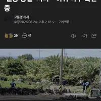 싱글벙글 제주도 200명 실종 딸깍