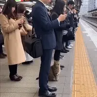 출근하다 고양이가 되어버렸다