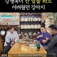 강형욱이 왜 문제인지 분석 못한 강아지