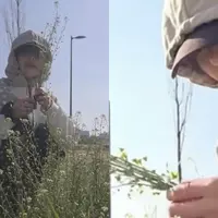 한강서 꽃 꺾으면 불법?…허윤진 "몰랐다"며 사과