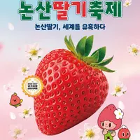 논산딸기축제 캐릭터 굿즈