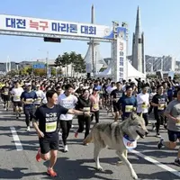 대전의 새로운 여행상품