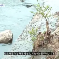 딸아, 네가 그렇게 맞고 있는데 내가 어떻게 가겠노..