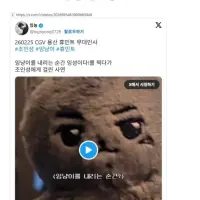 현재 여초에서 난리난 조인성 비공식 굿즈 사건