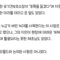 핫게 늑구 찾으러 보호소에서 도움을 자청한 암컷늑대 암컷이 아니라 수컷이라함..!