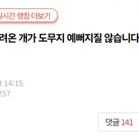 [네이트판] 데려온 개가 도무지 예뻐지질 않습니다