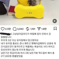 싱글벙글 영상 잘못보낸 강아지유치원