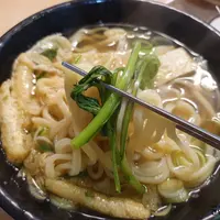 우동에 이거 호vs불호