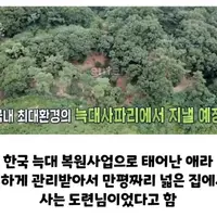 늑구의 상상도 못한 정체