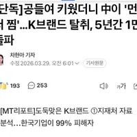 공들여 키웠더니 중국이 먼저 찜..K브랜드 탈취 5년간 1만 돌파