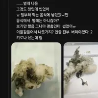이물질 나온 떡집 대응 수준