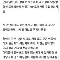후기방 난리난 노량진수산시장에서 생선 사다가 직접 회떠먹은 후기 ㄷㄷㄷㄷㄷㄷㄷㄷㄷ